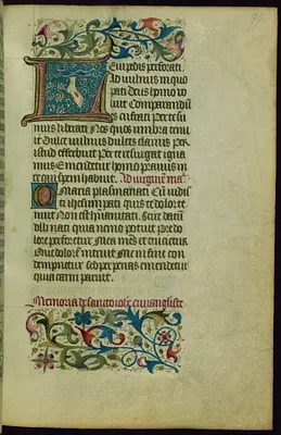 p. 15