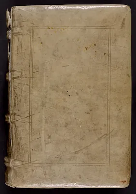 Bible