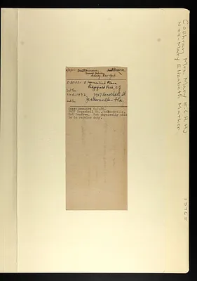 p. 6