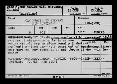 p. 49