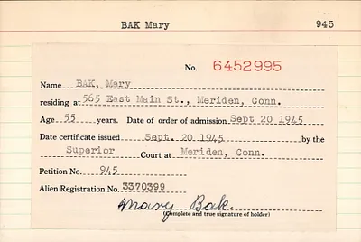 p. 41