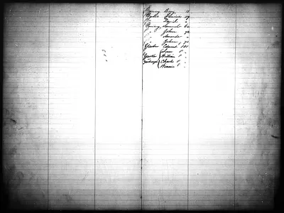 p. 29
