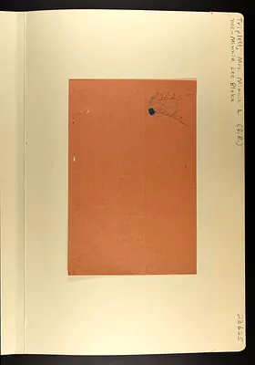 p. 31