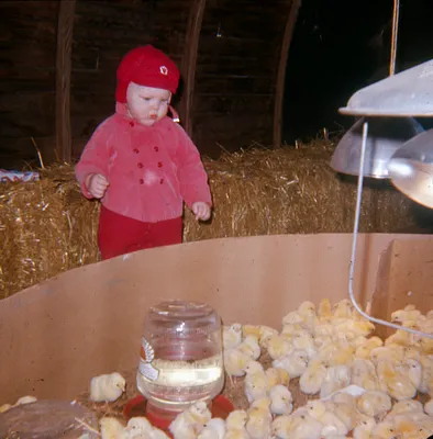 Child with Chicks, 1973