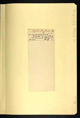 p. 5
