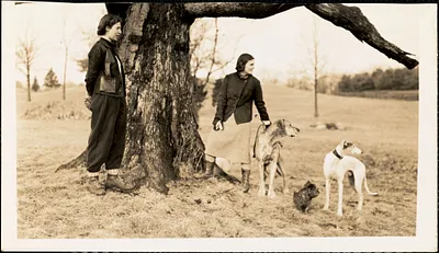 Two women stand at the base of a large old tree with three dogs