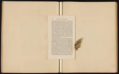 p. 19