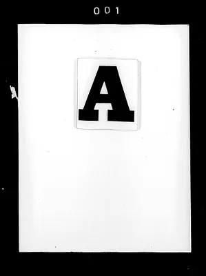 p. 4