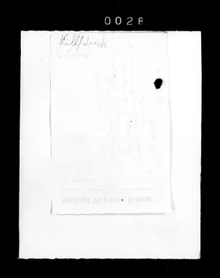p. 39