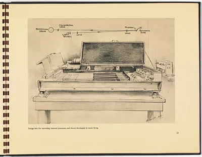 p. 15