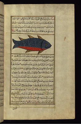 A Fish from the Vaynah (Vinah?) Seas