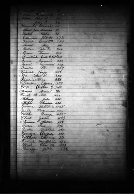 p. 20