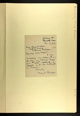p. 31