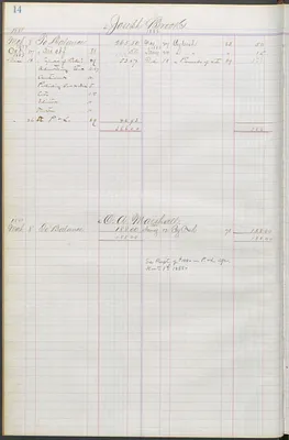 p. 29