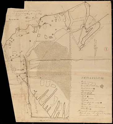 Plan of Tisbury made by Thomas Dunham, dated April 1831