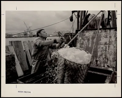 Unloading at Massport's Boston's Fish Pier, South Boston