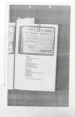p. 19