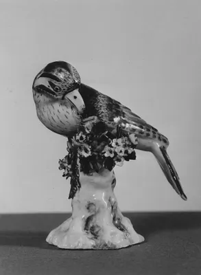 Woodpecker