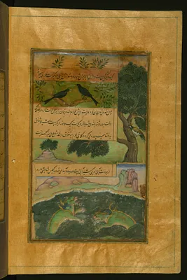 Birds of Hindustan and Alligators