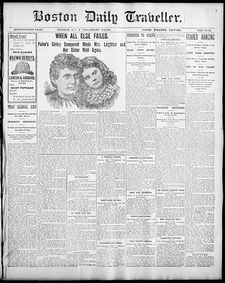 Boston Daily Traveller