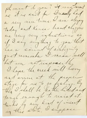 p. 3