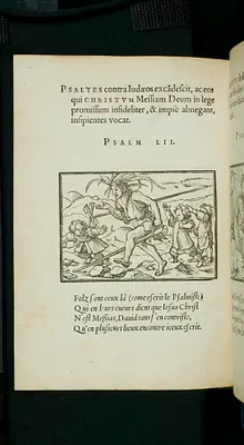 Icones historiarum Veteris Testamenti : ad viuum expressae, extrema´que diligentia emendatiores factae, Gallicis in expositione homoeoteleutis, ac versuum ordinibus (qui prius turbati, ac impares) suo numero restitutis.
