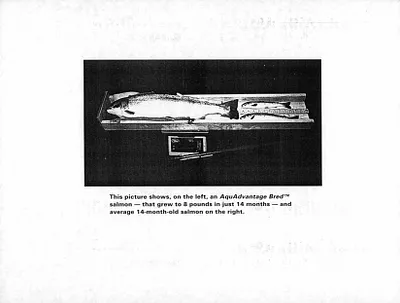 p. 52