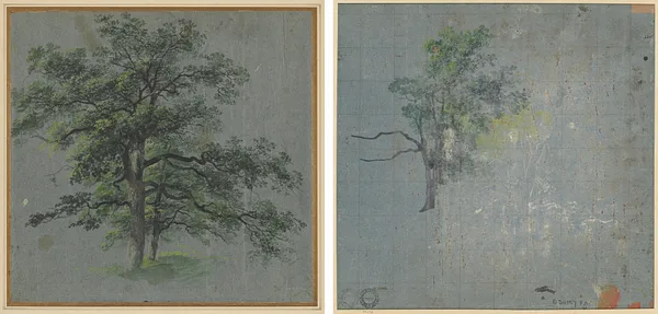 Two Trees (recto) Tree Studies (verso)