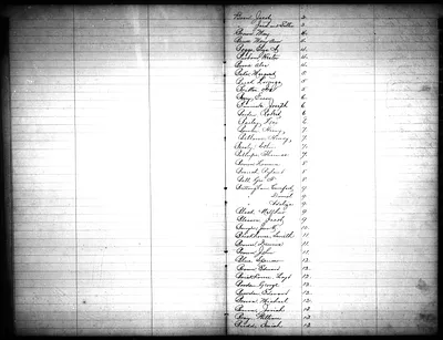 p. 5