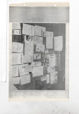 p. 29