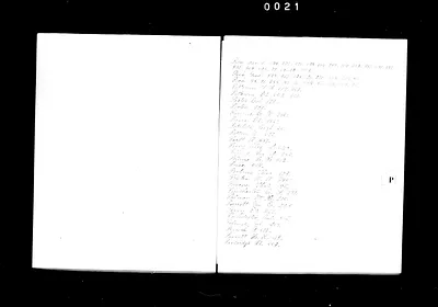 p. 43
