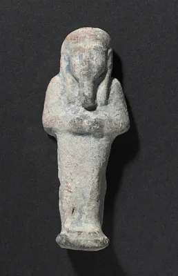 Shawabty of Ditamenpaankh