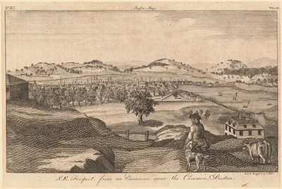 S.E. prospect, from an eminence near the Common, Boston