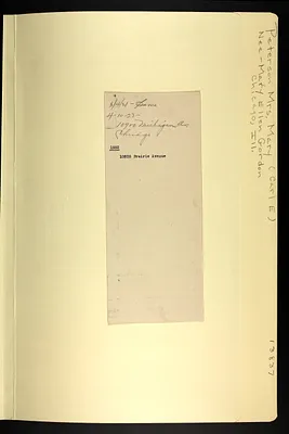 p. 8