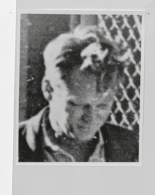 p. 29
