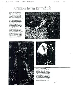 p. 34