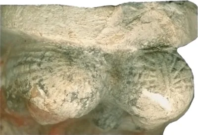 p. 6