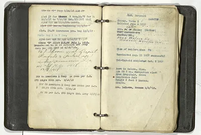 p. 8