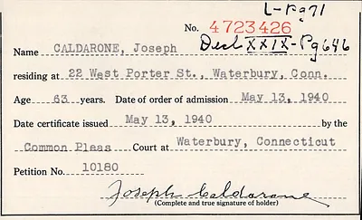 p. 43