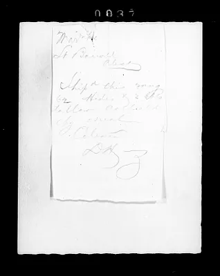 p. 48
