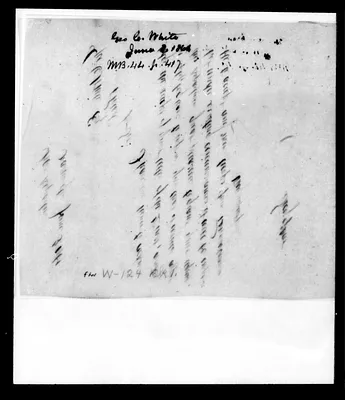 p. 24