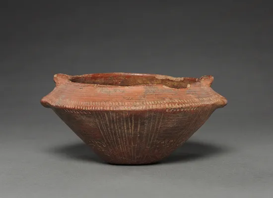 Dish