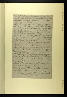 p. 29