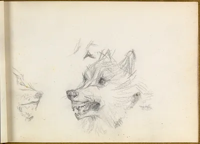 p. 11