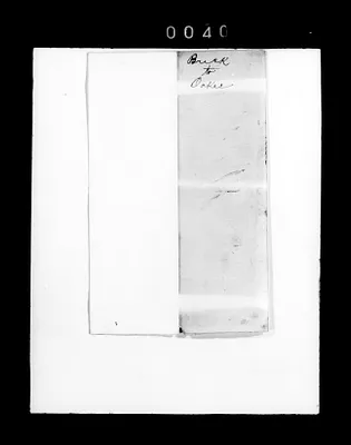 p. 51