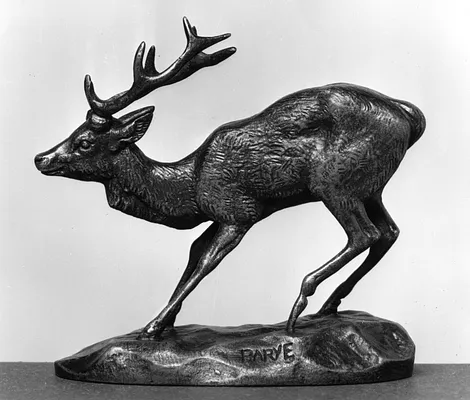 Frightened Stag