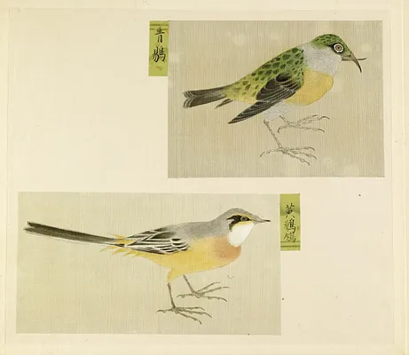 Leaf from Album Depicting Small Birds