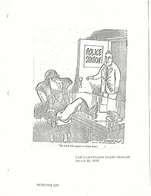 p. 43