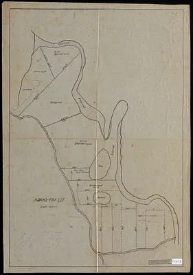 Experimental reproduction cuttings, Adams-Fay Lot (TS IX)