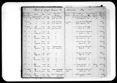 p. 13